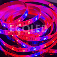 LED Strip  GROW LIGHT IP67 14,4W/m 22lm/LED 12V