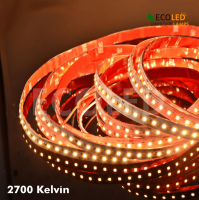 5  m Rolle vom LED Strip DAYDREAM STRONG (CCT) 17W/m 24V