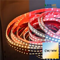 LED Stripe DAYDREAM STRONG (CCT) 1.900lm/m 17W/m 24V